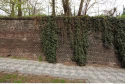 Photo of Mixed Textures